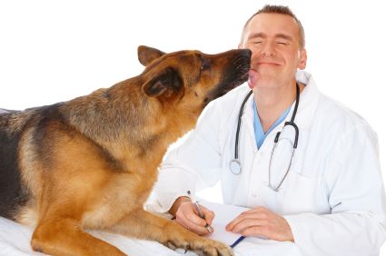 Dog Behavior
